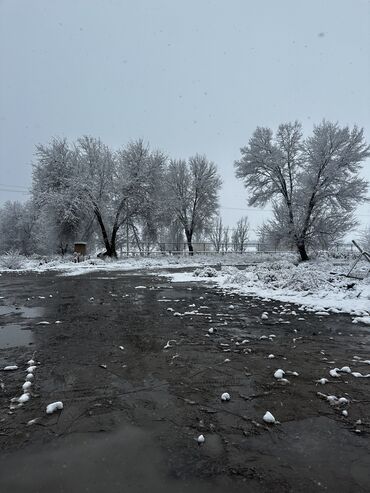 Продажа участков: 127 соток, Для строительства, Красная книга, Тех паспорт, Договор купли-продажи — 4