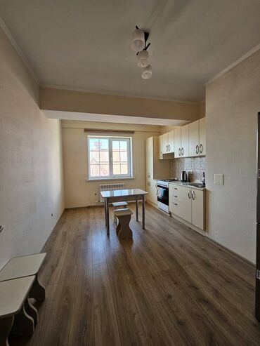 помешение под кафе: 1 комната, 49 м², Индивидуалка, 5 этаж, Евроремонт