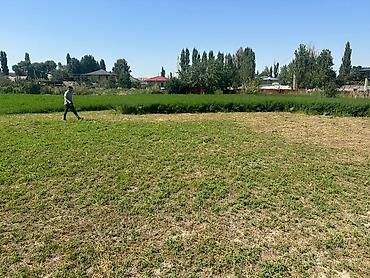 Продажа участков: 20 соток, Для бизнеса, Красная книга — 6