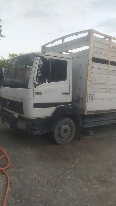 255 35 19: Mercedes-Benz 1996 il, motor 3.9 l, Bort, İşlənmiş — 1