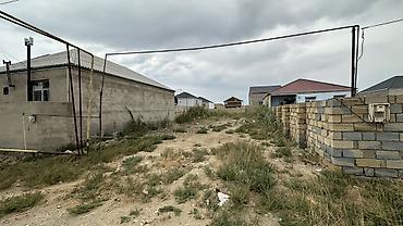 kurdexanida torpaq: Tikinti — 1