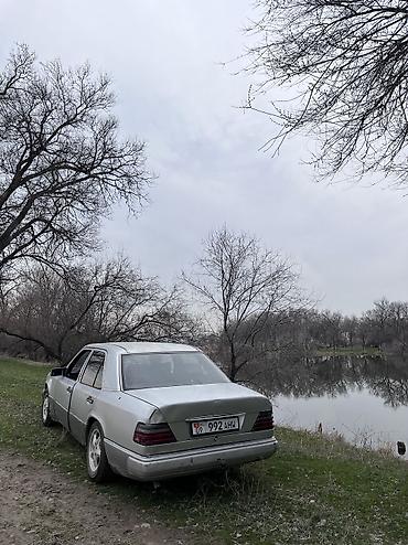 Mercedes-Benz: Mercedes-Benz E-Class: 1994 г., 2 л, Механика, Дизель, Седан — 14