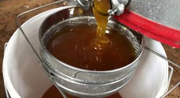 противопролежневый матрас цена бишкек: 🌿 Натуральный мёд от пасечника 🍯 Описание: Продаю 100% натуральный