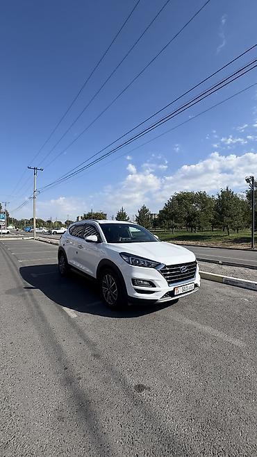 казан диски 13: Hyundai Tucson: 2019 г., 2 л, Автомат, Дизель, Кроссовер — 2