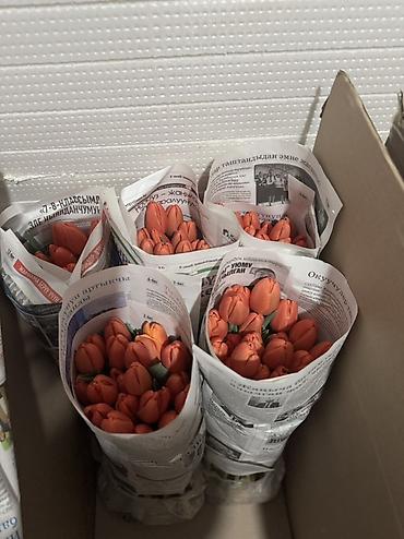 Букеты из живых цветов: Тюльпаны срезанные и на луковице - Сорта и окраски: белые, розовые — 7