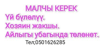 ночные феи: Малчы керек