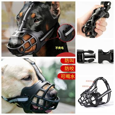 Зоотовары: ПРОДАЮ КОШАЧЬЮ МЯТУ(АНТИСТРЕСС),ПОРАДУЙТЕ СВОГО КОТИКА ТАКОЙ — 22