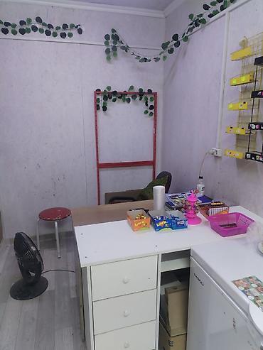 Торговля: Магазин «Акчолпон» Формат: продуктовый магазин у дома. Ассортимент — 9