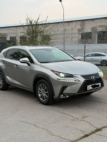 зеркало хонда стрим: Lexus NX: 2020 г., Бензин, Кроссовер
