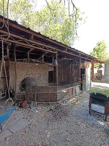 Продажа коттеджей и домов: 📌В центре Беловодское продается добротный дом из 5-ти комнат на — 11