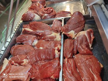 мясо говядина цена в бишкеке: МЯСО Говядина! Халал 100% принимаем заказы