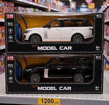 радиоуправления: Радиоуправляемая модель автомобиля Speed MODEL CAR - Масштаб: 1:16 - — 1