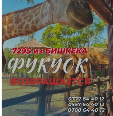 проклятый дом в бишкеке: 💫🇻🇳Супер туры на Фукуок на 8 дней-729$ 15.11 из Бишкека✈️🇰🇬 🔥