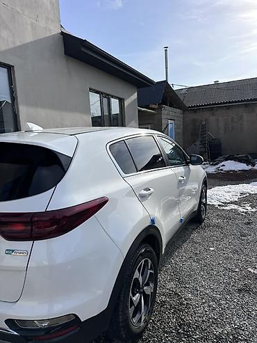 Kia: Kia Sportage: 2019 г., 2 л, Автомат, Дизель, Кроссовер — 7