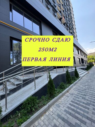 сдается в аренду автомойка: Ижарага берем Офистик, 250 кв. м, Турак комплексинде, 1-катар