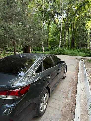 spark 2017: Hyundai Sonata: 2018 г., 2 л, Автомат, Бензин, Седан — 3
