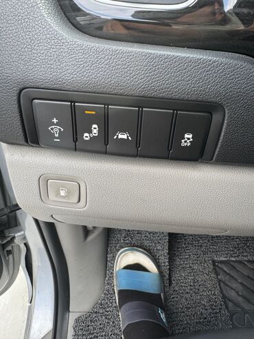 Kia: Kia Carnival: 2019 г., 2.2 л, Автомат, Дизель, Минивэн — 10