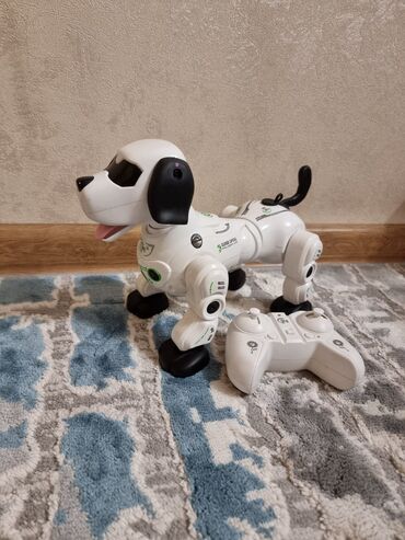 работа в монголии для граждан кыргызстана: Продаю детскую игрушку собака-робот. Работает от пульта управления