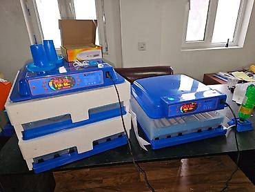 İnkubatorlar: 100 yumurta, Çin, Fabrik istehsalı, Tam avtomat, Bütün növ quşlaq üçün — 17