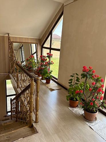 Продажа домов: Дом, 220 м², 4 комнаты, Собственник — 9