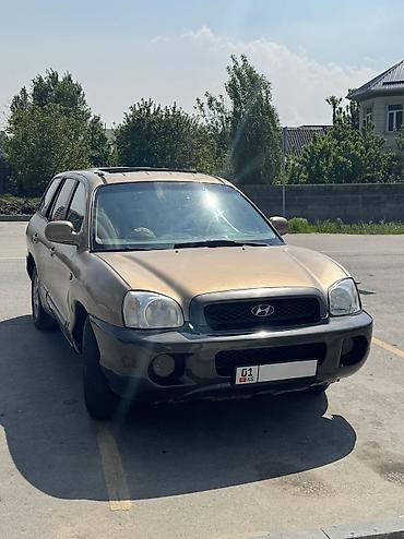 Hyundai: Hyundai Santa Fe: 2003 г., 2.7 л, Автомат, Газ, Внедорожник — 2