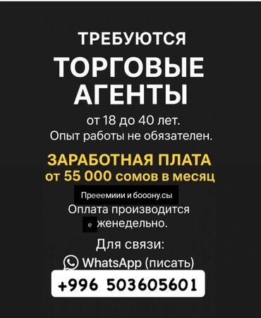 Торговые агенты: Требуется Торговый агент, График: Шестидневка, Без опыта, Оплата переработки, Полный рабочий день
