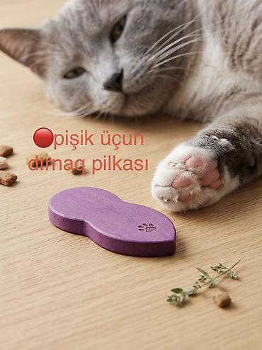 heyvan sikişi: Şotland, Erkək, Yaxşı əllərə, Ünvandan götürmə, Pulsuz çatdırılma, Ödənişli çatdırılma — 9