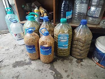 Продаю микс прикормку,на сазана, амура, состав кукуруза вареная