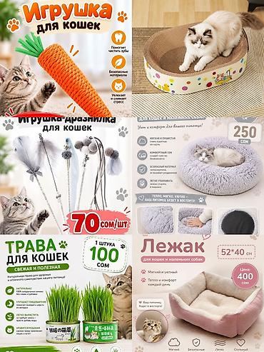 сурикат купить бишкек: 🐾 Мокрый нос — всё для любимых питомцев 🐱🐶 🥣 Миски и аксессуары 🧸 — 2