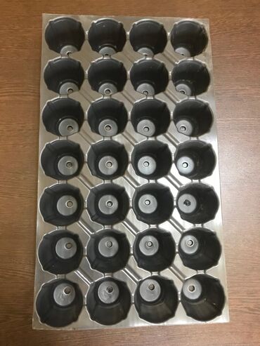 Toxumlar: Buşitil qabi
104şitilqAbi
torf250lulitrlik
torf ekolay
torf balaken — 4