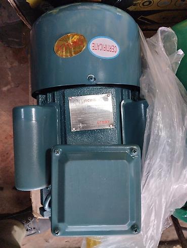 Товары и оборудование для с/х животных: Электродвигатель на дробилку.5,5kw.7,5 — 8