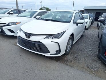 т2 транспортер: Toyota Corolla: 2019 г., 1.8 л, Вариатор, Бензин, Седан