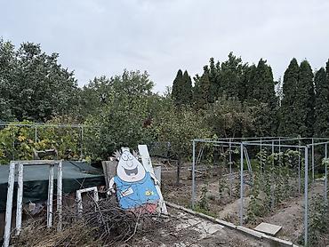 дом в дмитриевке: 2 комнаты, 40 м², 5 соток, Септик, Холодная вода, Электричество — 3