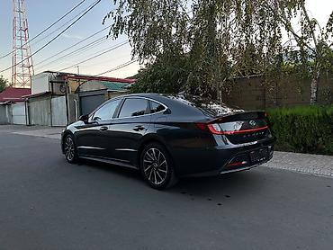 задняя шторка: Hyundai Sonata: 2022 г., 2 л, Автомат, Гибрид, Седан — 3