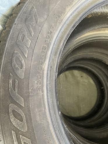 саласки виш: Продаю или меняю на 245/50 r19 Зимние шины Sava Eskimo SUV 2 (M+S — 1