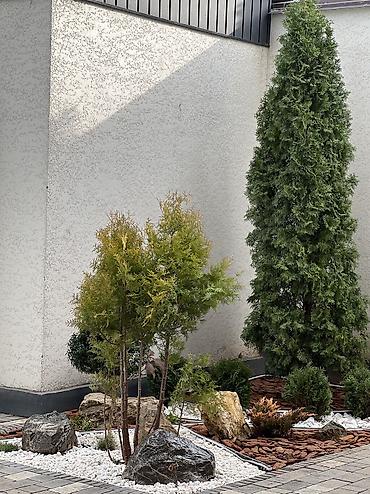 Дизайн, проектирование: Ландшафтный дизайн авто полив водопады пруды водоемы ручьи посев — 16