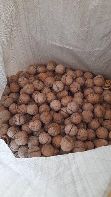 Сухофрукты, орехи, снеки: Грецкие орехи. Урожай 2023 года. Орехи легко чистятся, скорлупа