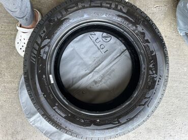 мото ремонт: Шиналар 225 / 65 / R 17, All-season, Жол тандабастар (АТ/МТ), Michelin