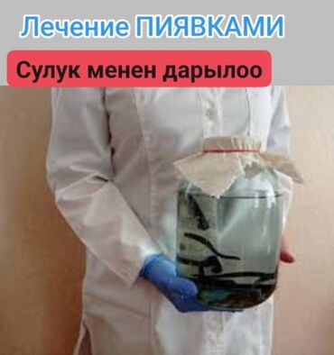 наркология бишкек выезд на дом: Врачи | Гирудотерапевт | Лечение пиявками