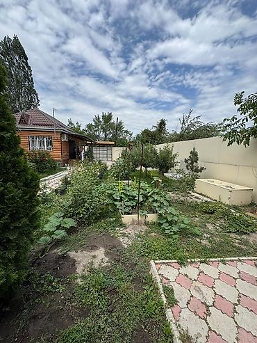 Продажа дачи: Продаётся прекрасный, цветущий, благоустроенный загородный дом с — 9