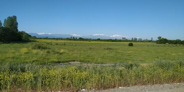 Torpaq sahələrinin satışı: 116 sot, Kənd təsərrüfatı, Barter mümkündür, Kupça (Çıxarış) -da lalafo.az — 14 Torpaq sahələrinin satışı: 116 sot, Kənd təsərrüfatı, Barter mümkündür, Kupça (Çıxarış) — 14