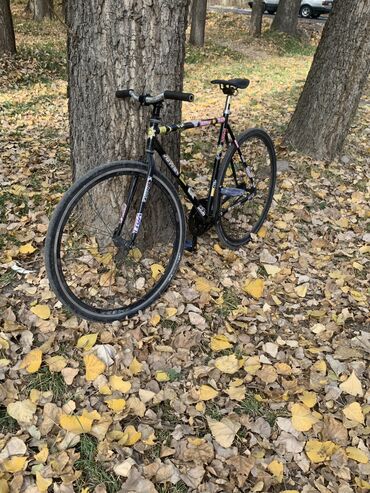 скоросный велосипед: Фикс-байк (fixed gear) на стальной раме с прямыми перьями. Основные