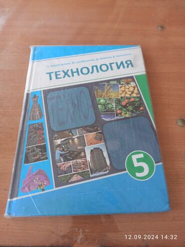 естествознание 5 класс э мамбетакунов гдз: Продаётся книга по технологии 5 класса