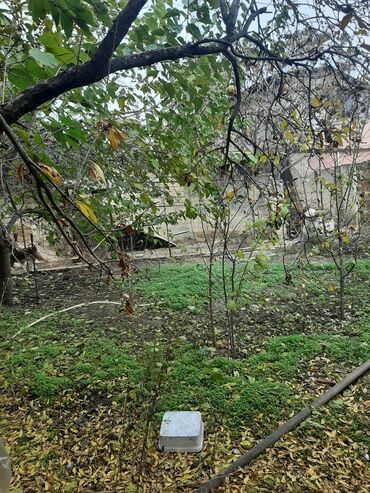 Torpaq sahələrinin satışı: 15 sot, Tikinti, Maklerlər narahat etməsin, Kupça (Çıxarış), Bələdiyyə — 12