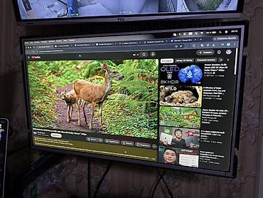 монитор 300hz: Монитор/профессиональная панель 27" 60hz - Диагональ около 27" - Тип — 1