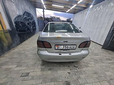 chery arizo: Nissan Primera: 2001 г., 1.8 л, Механика, Бензин, Седан — 1