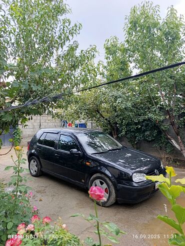 замок зажигания опель вектра а: Volkswagen Golf: 1999 г., 1.6 л, Автомат, Бензин, Хэтчбэк