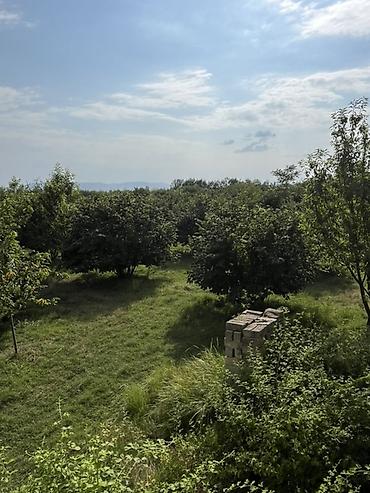 boş torpaq: 6 sot, Tikinti, Kupça (Çıxarış) — 9