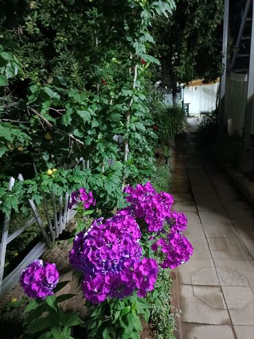 Посуточная аренда комнат: 18 м², С мебелью — 19