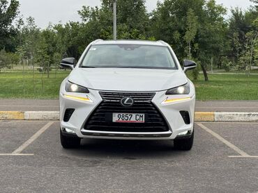 Lexus: Lexus NX: 2018 г., 2 л, Автомат, Бензин, Кроссовер — 2